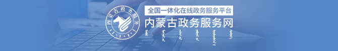根河市政务服务网