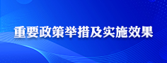 重要政策举措及实施效果